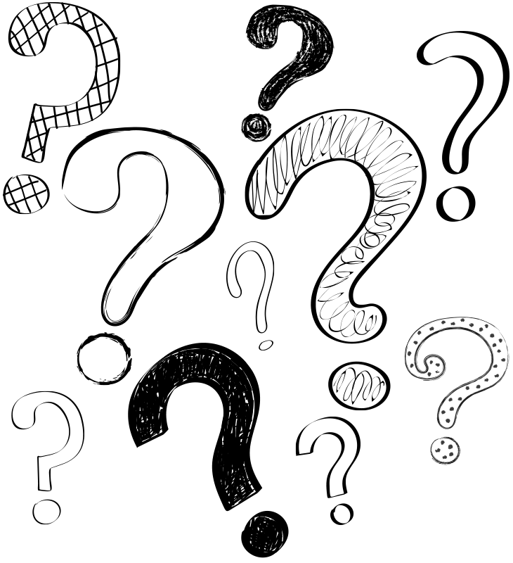 Experience History at Home with Museum Trivia Games